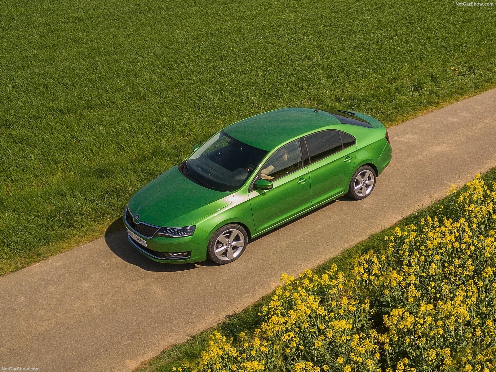 Зеленый хэтчбек. Škoda Rapid 2020 зеленая. Шкода Рапид 2017. Шкода Рапид зеленый металлик. Шкода Рэпид зелёная.
