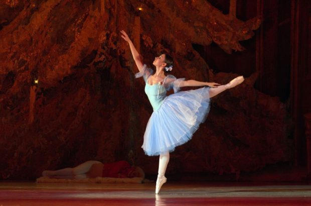 2018 год объявлен годом отечественного балета