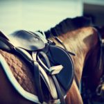 всемирные конные игры обои