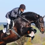 всемирные конные игры обои